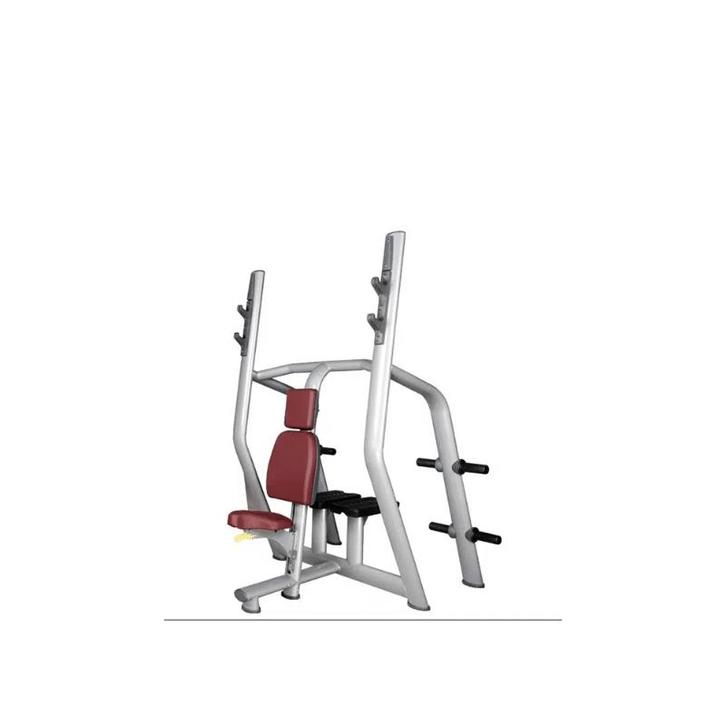 Technogym - Vertical Bench - Shoulder Press Bench, Sport en Fitness, Fitnessapparatuur, Zo goed als nieuw, Ophalen of Verzenden