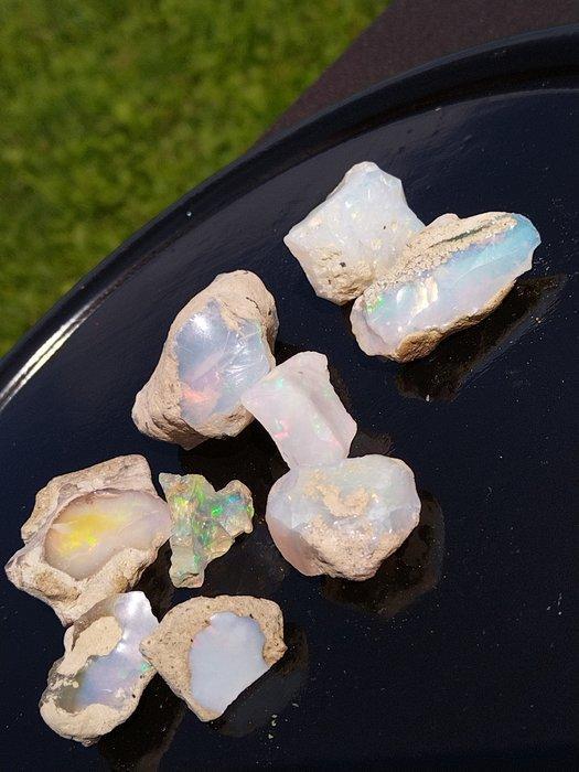 Opaal Ruw- 68.4 g - (9), Verzamelen, Mineralen en Fossielen