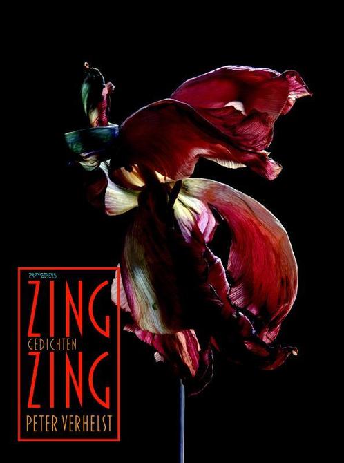 Zing zing 9789044629699 Peter Verhelst, Boeken, Overige Boeken, Zo goed als nieuw, Verzenden