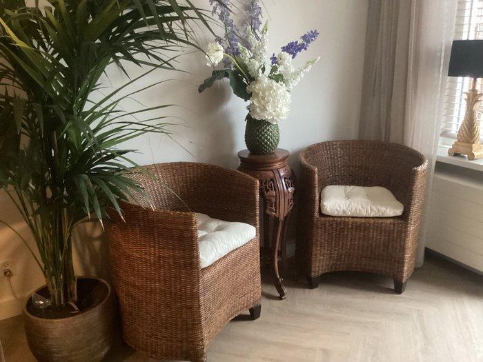 Fauteuil (2) - Hout, Rattan - Birma rotan, Antiek en Kunst, Curiosa en Brocante