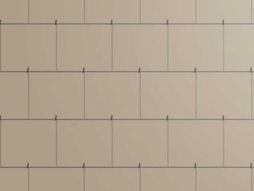 Veiling - 1008x Cedral lei brandklasse A2, grijsbruin, 60x32, Doe-het-zelf en Bouw, Dakpannen en Dakbedekking, Nieuw
