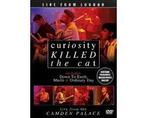 Curiosity Killed The Cat · Live From London, Cd's en Dvd's, Verzenden, Nieuw in verpakking