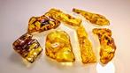 Gepolijst - Barnsteen - Honey colour Amber Lot - 7 cm - 4 cm
