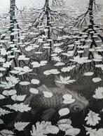 M. C. Escher (after) - Three Worlds (1955) - Taschen reprint, Antiek en Kunst, Kunst | Tekeningen en Fotografie