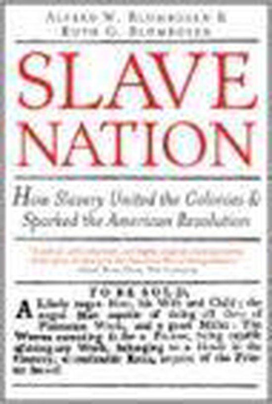 Slave Nation 9781402204005 Alfred Blumrosen, Livres, Langue | Anglais, Envoi