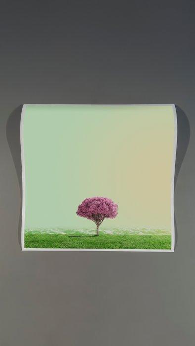 Téber - High Society (Apple), Antiquités & Art, Art | Objets design