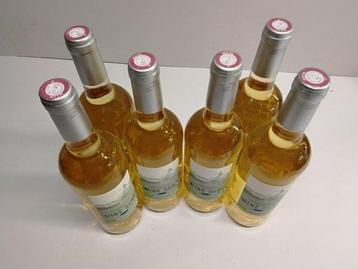 2021 Wine Surf, Blanc Bio - Bordeaux Bordeaux Blanc - 6