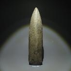 Neolithisch Steen Hulpmiddel. 3000-1500 v.Chr. 26,5 cm L.