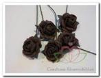 Mulberry Roosjes Choc Bruin 10-15 mm pak, Nieuw