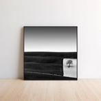 Rosario Civello - Tree in a Square