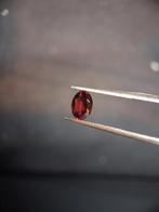 Natural Garnet - Rhodolite - 0.840 ct - oval - unheated- red, Verzenden
