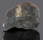 Meteoriet Hammadah al Hamra 346 Brokkeltje met korst - 125.3, Verzamelen