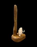 Wolharige mammoet Slagtand - Mammoet Beeld. Gemaakt Van, Nieuw