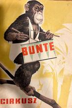 SZEKELY - Circus - monkey - Budapest - HUNGARY - apes,, Antiek en Kunst