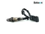 Capteur doxygène Aprilia RSV4 R (+Factory) 2009-2012, Motoren, Verzenden, Nieuw