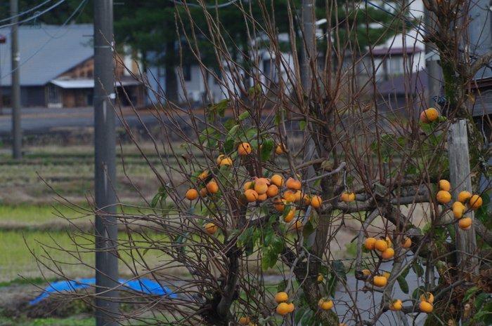 Sigma APO 5-6.3/170-500mm for Pentax K Zoomlens, Audio, Tv en Foto, Fotocamera's Digitaal