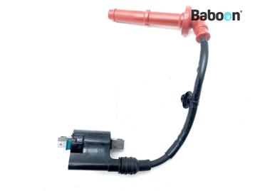 Bobine Honda CB 750 Hornet 2023 (CB750) Cyl. 1, Verzenden