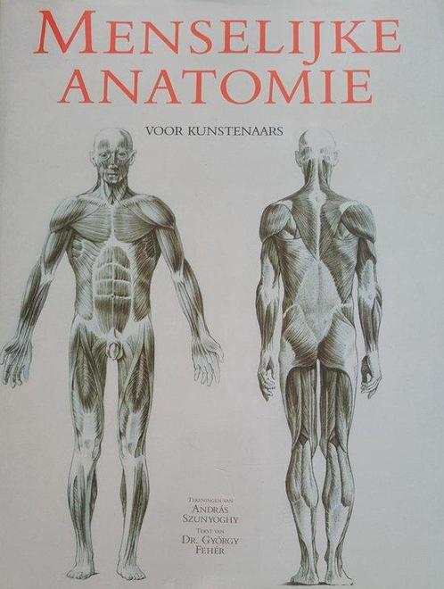 Menselijke Anatomie Voor Kunstenaars 9783829050319, Livres, Livres Autre, Envoi