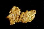 Goud Natif, goudklomp uit Suriname of Frans-Guyana- 0.58 g -, Verzamelen, Nieuw