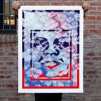 Shepard Fairey (OBEY) (1970) and Kai & Sunny - Wild OBEY, Antiek en Kunst, Kunst | Schilderijen | Modern