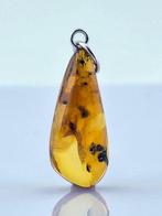 Ambre - Gorgeous Honey-Tone Baltic Amber Pendant – FLY &
