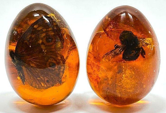 Decoratief ornament (3) - 3 Fermacarte in Resina Ambra con, Antiek en Kunst, Kunst | Designobjecten