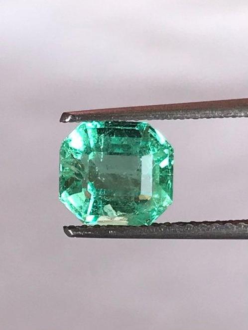 1 pcs  Groen Smaragd  - 1.69 ct - International Gemological, Handtassen en Accessoires, Edelstenen
