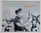 Gremlins (1984) - Joe Dante (Film Director) - Autograph,, Collections