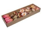 Protea exotic assortiment - naturel (doos van 30 stuks) –, Nieuw
