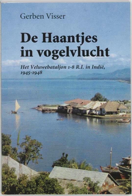 De Haantjes in vogelvlucht 9789051942439 G. Visser, Boeken, Geschiedenis | Wereld, Zo goed als nieuw, Verzenden