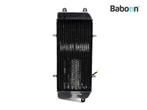 Radiateur Suzuki VZ 800 1997-2004 Marauder (VZ800), Motoren, Verzenden, Nieuw