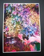 Viet Ha Tran - Secret Garden V