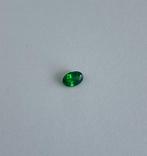 1 pcs Vert Tsavorite - 0.75 ct - Instituto Gemólogico, Nieuw