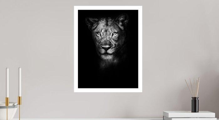 Jeffrey Van Daele - Lioness, Antiquités & Art, Art | Objets design