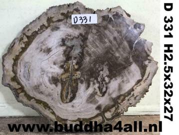 versteend hout schijven en tafels - miljoenen jaar oud hout beschikbaar voor biedingen