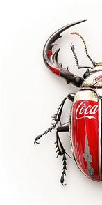 F2B - BeetleCan Coca 2I8