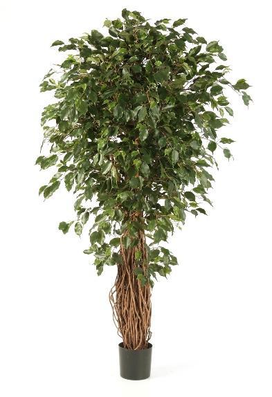 Kunstplant Ficus Liana Exotica 210 cm, Maison & Meubles, Plantes d'intérieur, Envoi