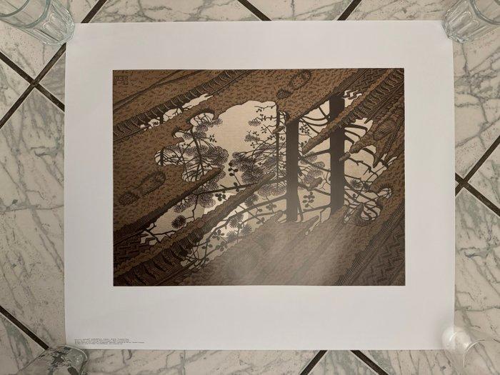 M.C. Escher (1898-1972), after - Modderplas, Antiek en Kunst, Antiek | Overige Antiek