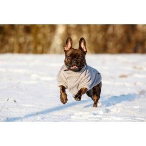 Manteau pour chien en polaire bern, gris, s, 35cm, Animaux & Accessoires, Accessoires pour chiens