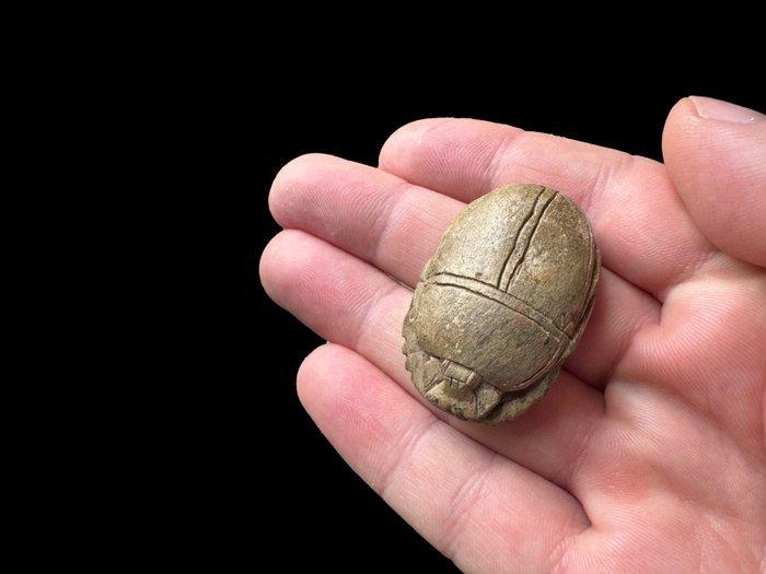 Égypte ancienne Scarab - GRAND - 4,0 cm (Sans prix de, Collections, Minéraux & Fossiles
