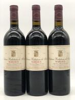 3 x 75cl Chateau Richeterre de Mons Margaux 1994 (Bordeaux), Ophalen of Verzenden, Nieuw, Frankrijk, Rode wijn