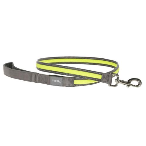 Laisse lumineuse light & reflex, jaune fluo, 120 cm, 25 mm -, Dieren en Toebehoren, Honden-accessoires