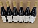 2020 Vizuecos, Excellence - Castellón, Valencia - 6 Flessen, Verzamelen, Wijnen, Nieuw