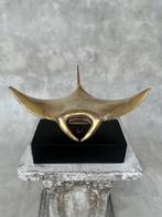 sculptuur, NO RESERVE PRICE - Sculpture of Polished Manta