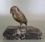 Uil met glazen ogen - Presse-papiers - Marbre, Argent, Antiek en Kunst