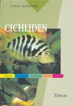Cichliden / Tirion natuur 9789052103600 C. Schaefer, Boeken, Verzenden, Gelezen, C. Schaefer