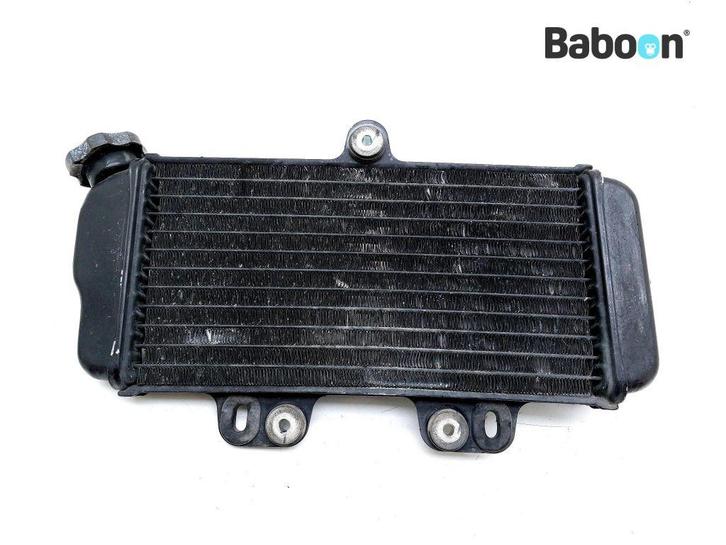 Radiateur Yamaha TDR 125 1993-1996 (4FU 4GW 4GX1-2-3-4), Motoren, Onderdelen | Yamaha, Verzenden
