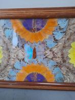 Dienblad - Braziliaans Dienblad met Vlindervleugels - Hout -