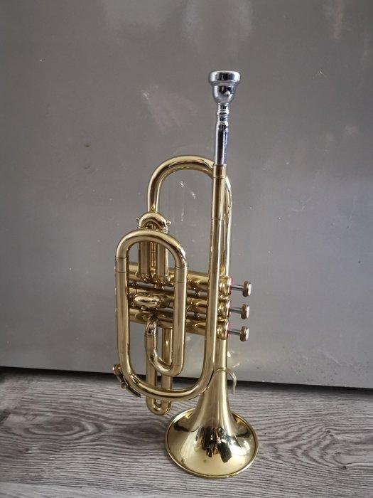 Amati Kraslice - - Kornet (Zonder minimumprijs), Muziek en Instrumenten, Blaasinstrumenten | Blokfluiten