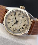 Rolex - Datejust 36 Buckley Dial Fluted Solid Gold Bezel -, Nieuw